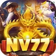 nv77 - 5